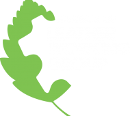 Member_of_LWG_Logo_fb95e3558f814166d1f3ae444b86029796c copia